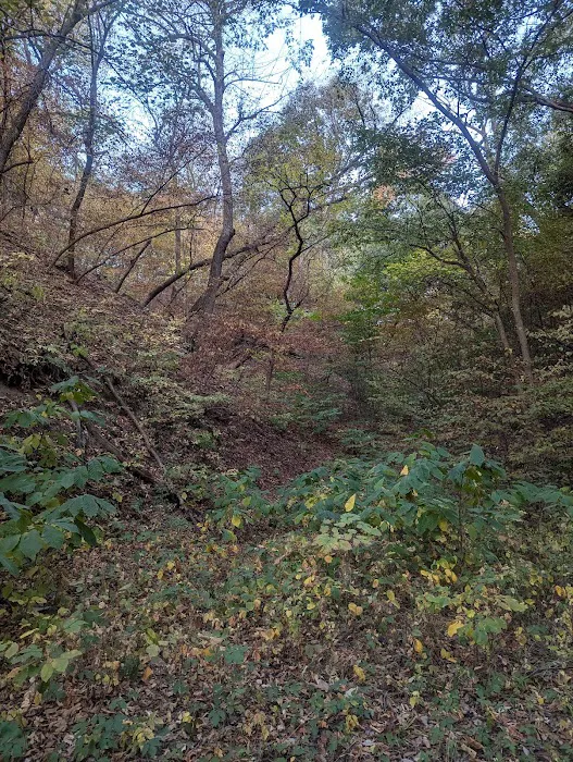 Brickyard Hill Campground - Notth Picture 8