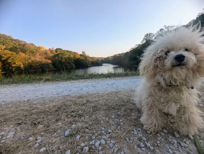 Brickyard Hill Campground - Notth Picture 4