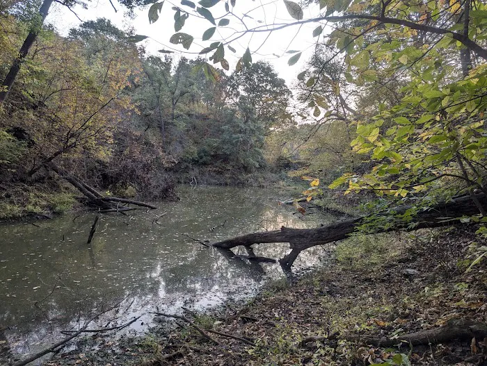 Brickyard Hill Campground - Notth Picture 6