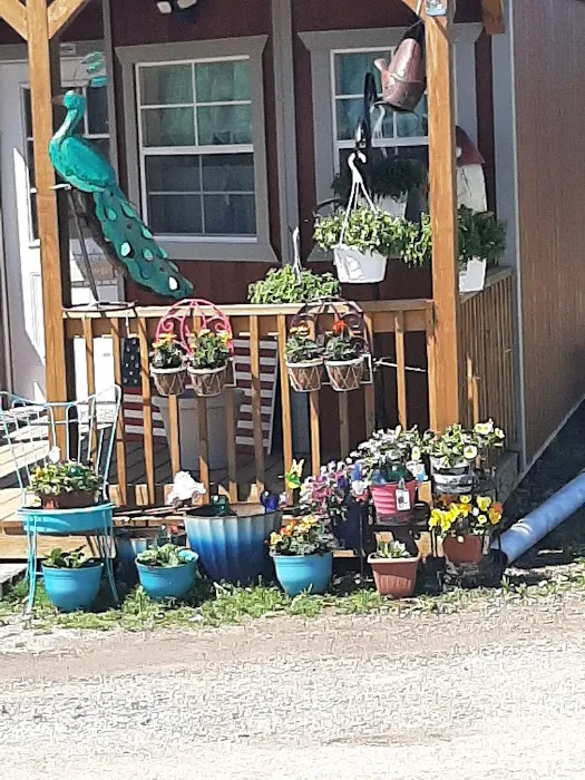 All American Campground and RV Park Picture 1