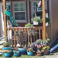 All American Campground and RV Park ico