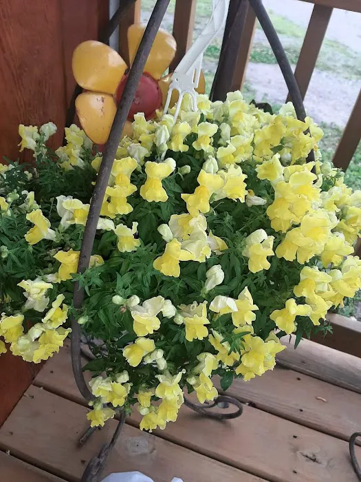 All American Campground and RV Park Picture 9