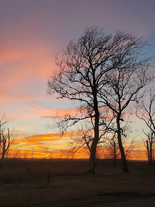 All American Campground and RV Park Picture 3