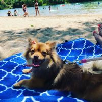 A C Nelsen RV World Campground ico