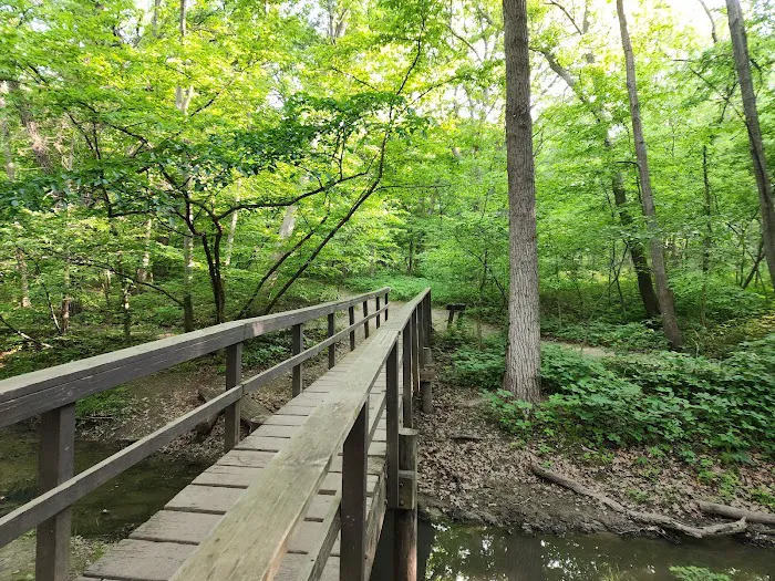 Bison Lane RV Campground Picture 1