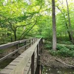 Bison Lane RV Campground