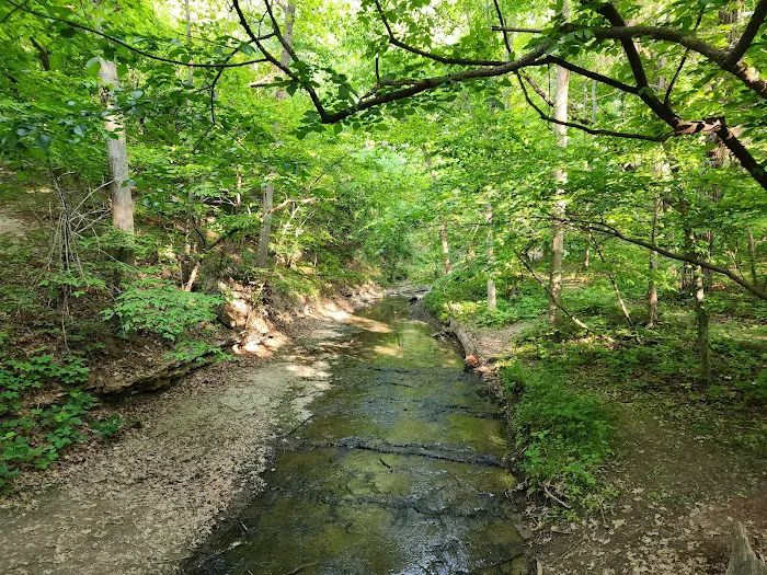 Bison Lane RV Campground Picture 5