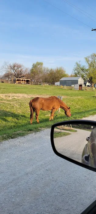 Omaha Campsite Picture 6