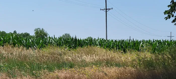 Omaha Campsite Picture 8