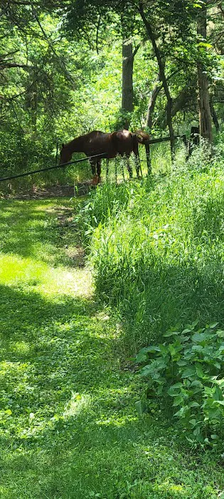 Omaha Campsite Picture 7