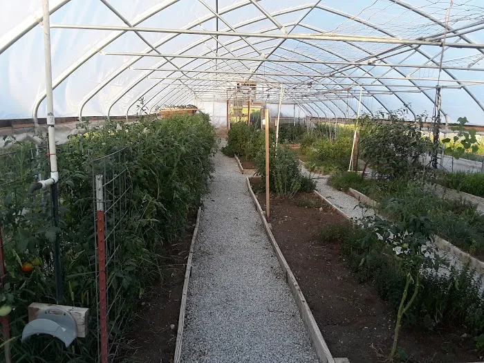 Twin Lakes Park Picture 3