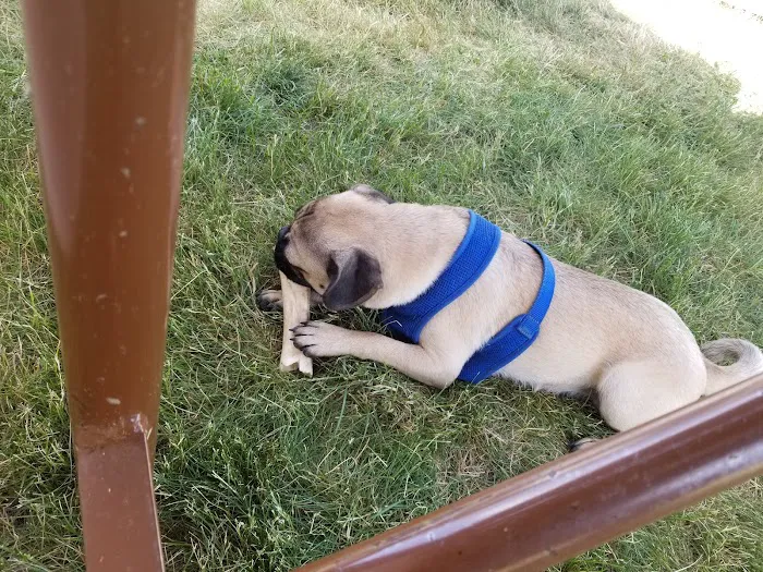 Twin Lakes Park Picture 4