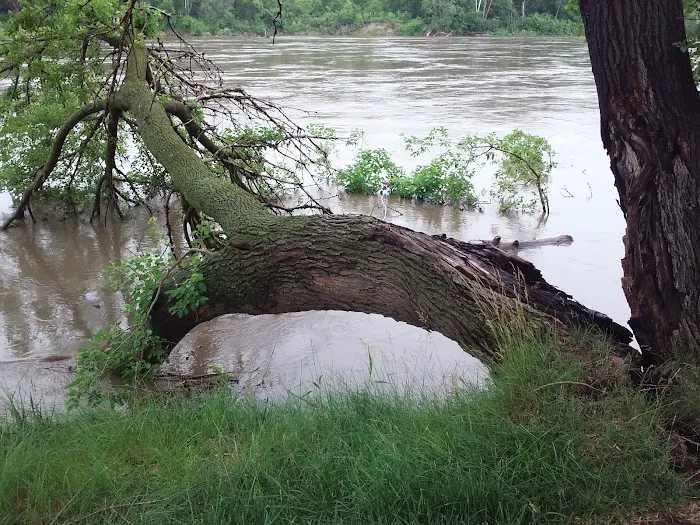 Beck Memorial Park Campground Picture 2