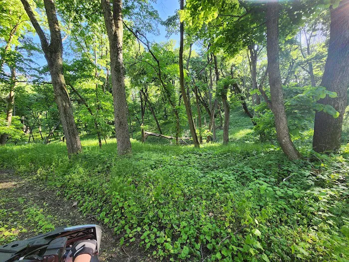 Big ELK PARK Picture 1