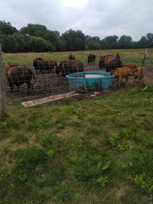 Big ELK PARK Picture 4