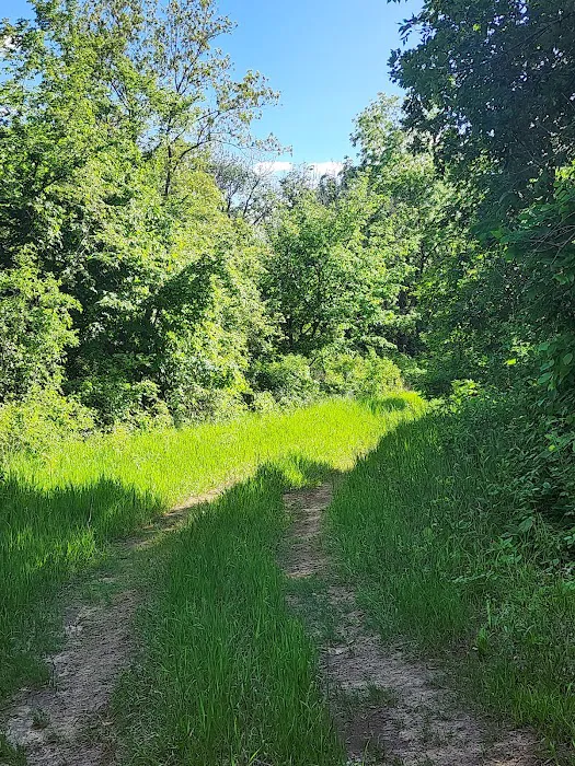 Big ELK PARK Picture 3