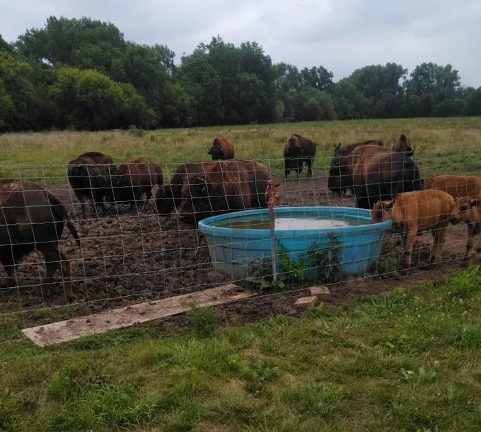 Big ELK PARK Picture 10