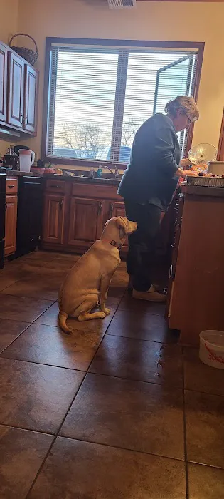 Gray Fox Cabin Picture 1