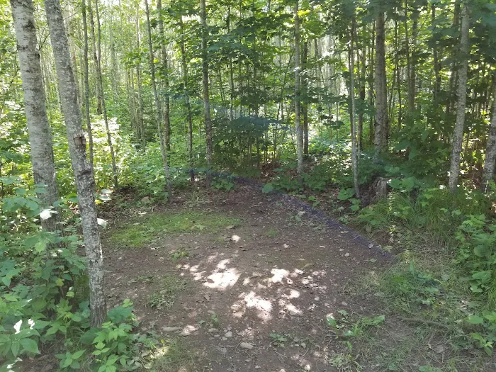 McCarthy Creek Camp Picture 5