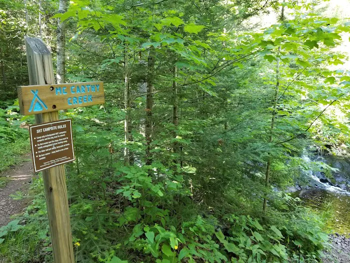 McCarthy Creek Camp Picture 1