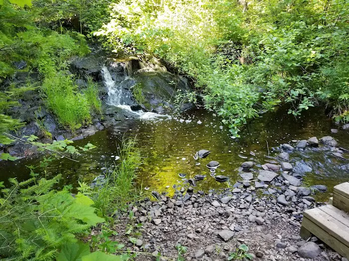 McCarthy Creek Camp Picture 3