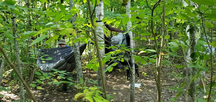 McCarthy Creek Camp Picture 7