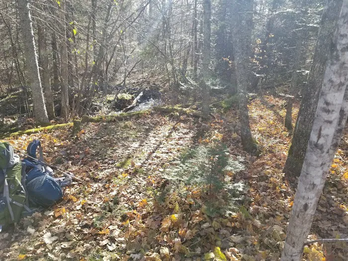 McCarthy Creek Camp Picture 10