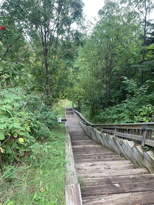 Penmarallter Campground Picture 6