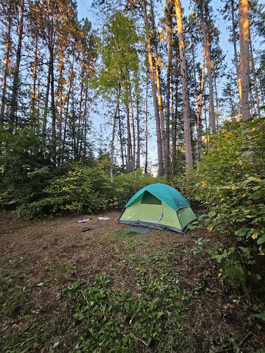 Buzz Ryan Campground Picture 3