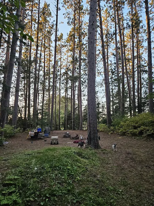 Buzz Ryan Campground Picture 2