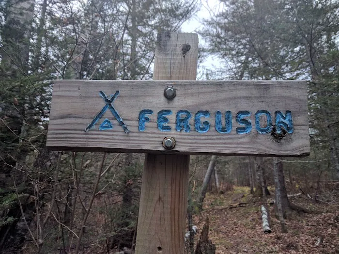 Ferguson Camp Picture 4