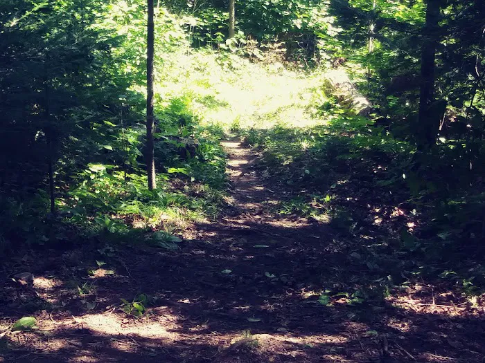 Reeves Falls Camp Picture 3