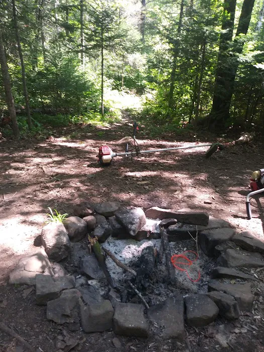 Reeves Falls Camp Picture 4