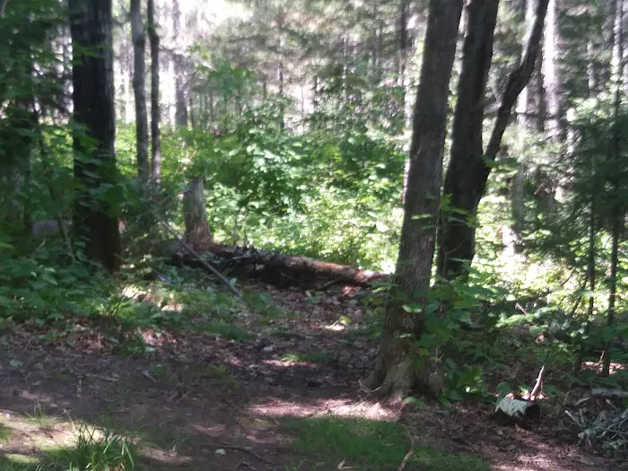 Reeves Falls Camp Picture 6