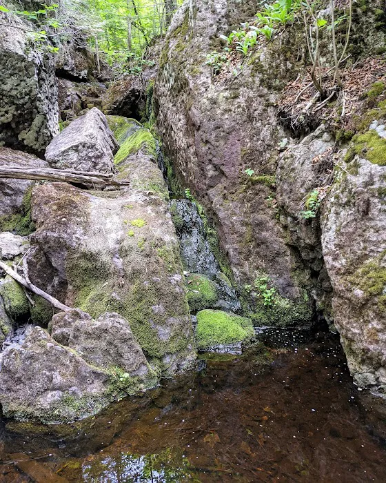 Reeves Falls Camp Picture 9