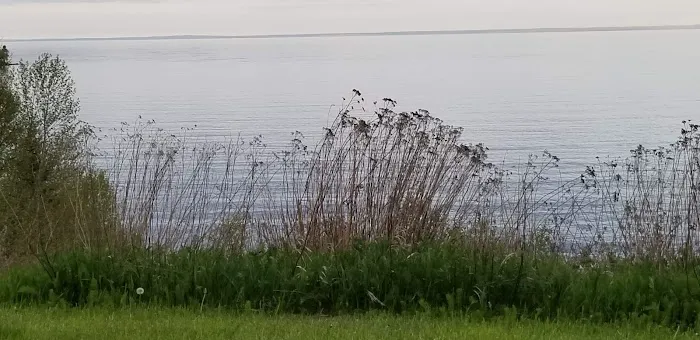 Burlington Bay Campground Picture 6