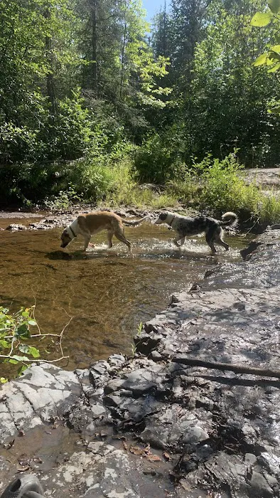 Silver Creek Camp Picture 5