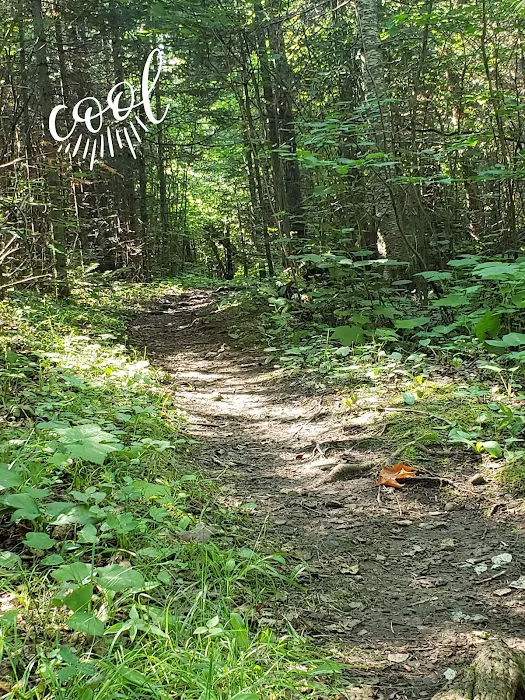 Crow Valley Camp Picture 4