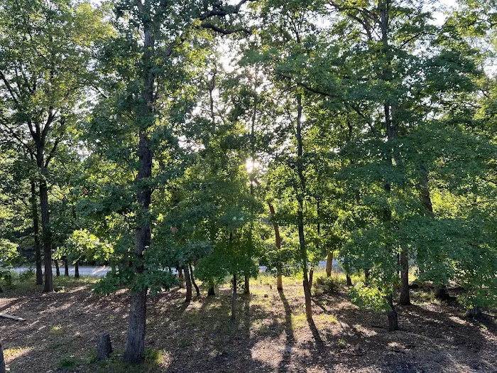 Seneca Campsite Picture 8