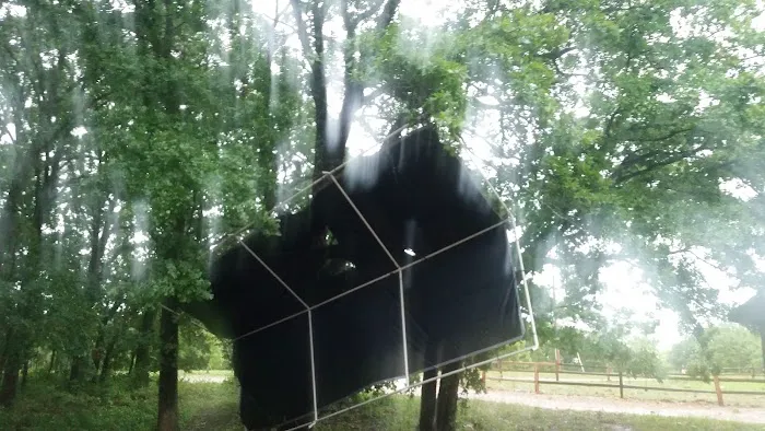 Seneca Campsite Picture 6