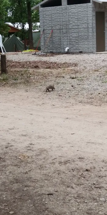 Mohican Campsite Picture 8