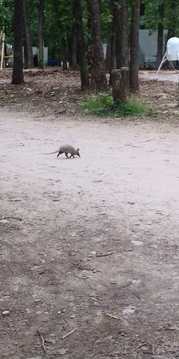 Mohican Campsite Picture 5