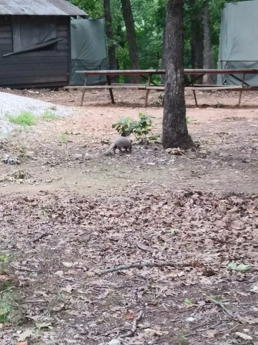 Mohican Campsite Picture 9