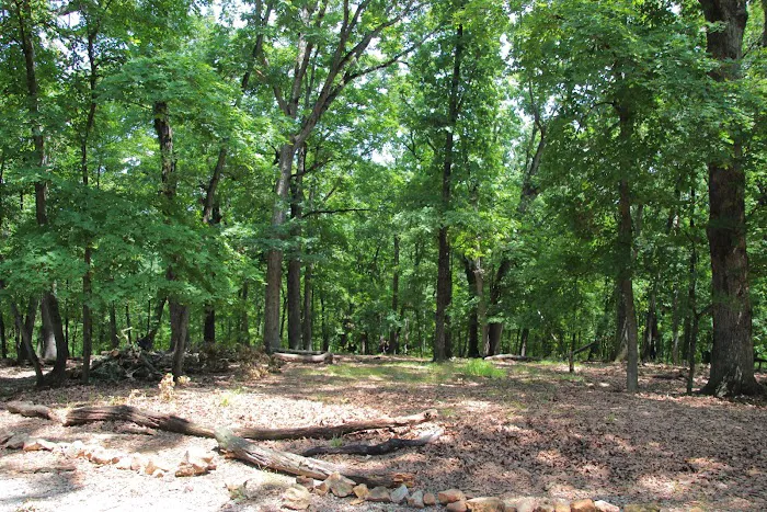 Mohican Campsite Picture 3