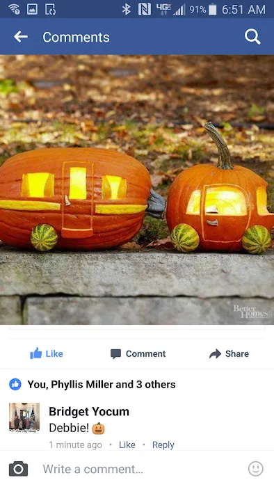 Show-Me Rest Rv Park Picture 9