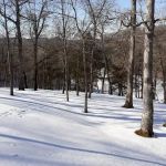 Paradise Cove Camping Resort