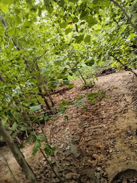 Kings Crossing RV Park and Campground Picture 9