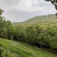 Beaver, Arkansas ico