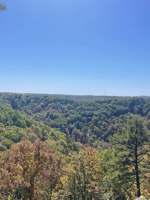 Beaver, Arkansas Picture 5