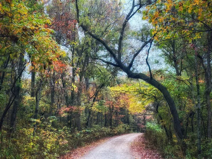 Sugar Camp National Forest Scenic Byway Picture 1